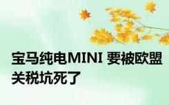 宝马纯电MINI 要被欧盟关税坑死了