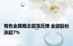 有色金属概念震荡反弹 金徽股份涨超7%