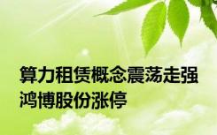 算力租赁概念震荡走强 鸿博股份涨停