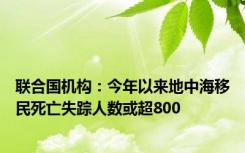 联合国机构：今年以来地中海移民死亡失踪人数或超800