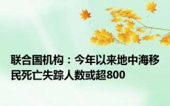 联合国机构：今年以来地中海移民死亡失踪人数或超800