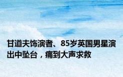 甘道夫饰演者、85岁英国男星演出中坠台，痛到大声求救