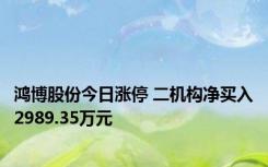 鸿博股份今日涨停 二机构净买入2989.35万元