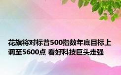 花旗将对标普500指数年底目标上调至5600点 看好科技巨头走强