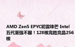 AMD Zen5 EPYC初露锋芒 Intel五代至强不服！128核完胜竞品256核