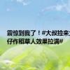 震惊到我了！#大叔捡来大型公仔作稻草人效果拉满#