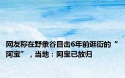 网友称在野象谷目击6年前逛街的“阿宝”，当地：阿宝已放归