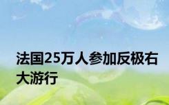 法国25万人参加反极右大游行