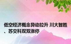 低空经济概念异动拉升 川大智胜、苏交科双双涨停