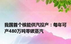 我国首个核能供汽投产：每年可产480万吨零碳蒸汽