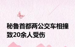 秘鲁首都两公交车相撞 致20余人受伤