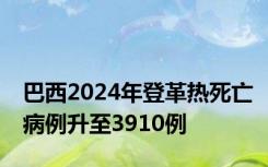 巴西2024年登革热死亡病例升至3910例