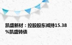 凯盛新材：控股股东减持15.38%凯盛转债