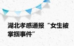 湖北孝感通报“女生被掌掴事件”