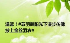 温馨！#蓑羽鹤阳光下漫步仿佛披上金丝羽衣#