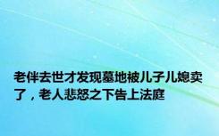 老伴去世才发现墓地被儿子儿媳卖了，老人悲怒之下告上法庭