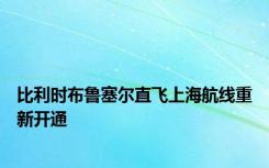 比利时布鲁塞尔直飞上海航线重新开通