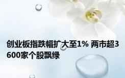 创业板指跌幅扩大至1% 两市超3600家个股飘绿