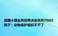 德国小镇全员投票决定杀死700只鸽子：动物保护组织不干了