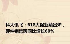 科大讯飞：618大促业绩出炉，硬件销售额同比增长60%