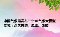 中国气象局发布三个AI气象大模型系统：命名风清、风雷、风顺