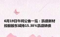 6月19日午间公告一览：凯盛新材控股股东减持15.38%凯盛转债