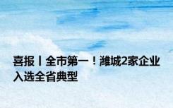 喜报丨全市第一！潍城2家企业入选全省典型