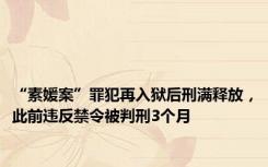 “素媛案”罪犯再入狱后刑满释放，此前违反禁令被判刑3个月