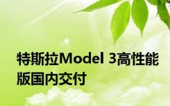 特斯拉Model 3高性能版国内交付