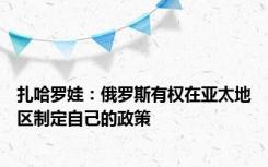 扎哈罗娃：俄罗斯有权在亚太地区制定自己的政策