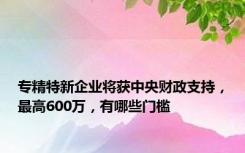 专精特新企业将获中央财政支持，最高600万，有哪些门槛