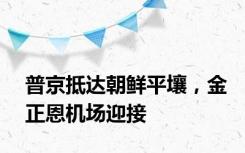 普京抵达朝鲜平壤，金正恩机场迎接