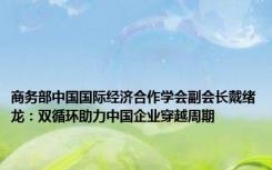 商务部中国国际经济合作学会副会长戴绪龙：双循环助力中国企业穿越周期