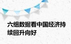 六组数据看中国经济持续回升向好