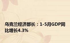 乌克兰经济部长：1-5月GDP同比增长4.3%