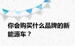 你会购买什么品牌的新能源车？