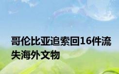 哥伦比亚追索回16件流失海外文物