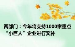 两部门：今年将支持1000家重点“小巨人”企业进行奖补