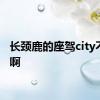 长颈鹿的座驾city不city啊