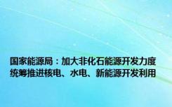 国家能源局：加大非化石能源开发力度 统筹推进核电、水电、新能源开发利用