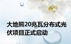 大地熊20兆瓦分布式光伏项目正式启动