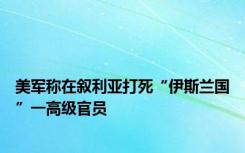 美军称在叙利亚打死“伊斯兰国”一高级官员