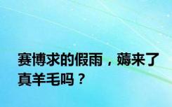 赛博求的假雨，薅来了真羊毛吗？