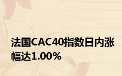 法国CAC40指数日内涨幅达1.00%