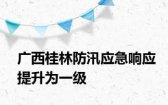 广西桂林防汛应急响应提升为一级