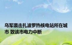 乌军袭击扎波罗热核电站所在城市 致该市电力中断