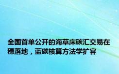 全国首单公开的海草床碳汇交易在穗落地，蓝碳核算方法学扩容