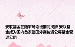 安联基金在陆家嘴论坛期间揭牌 安联基金成为国内首家德国外商独资公募基金管理公司