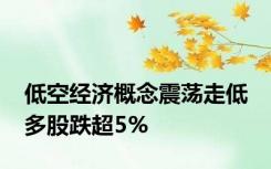 低空经济概念震荡走低 多股跌超5%