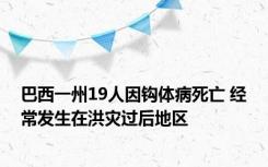 巴西一州19人因钩体病死亡 经常发生在洪灾过后地区